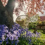 Vakantiehuis Jacaranda De Haan