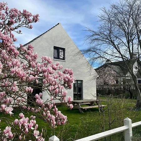 Jacaranda Ferienhaus De Haan
