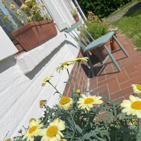 Σπίτι διακοπών Jacaranda *