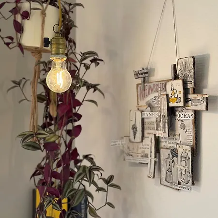 Ferienhaus Jacaranda