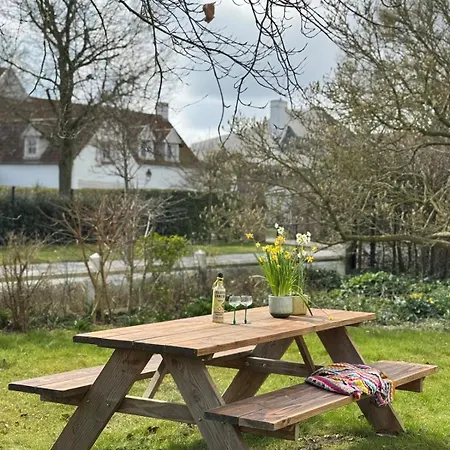 Jacaranda De Haan