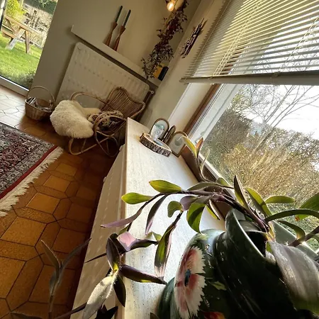 Σπίτι διακοπών Jacaranda De Haan