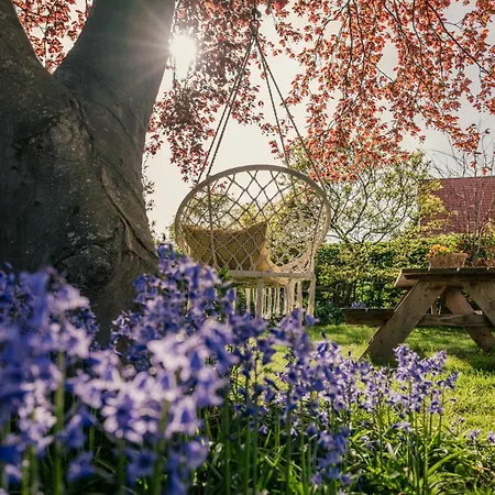 Дом отдыха Jacaranda Де-Хаан