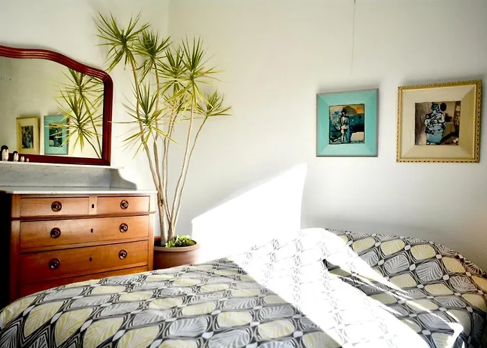 Jacaranda Де-Хаан