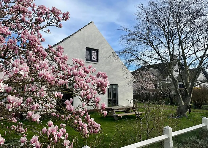 Jacaranda Дом отдыха Де-Хаан