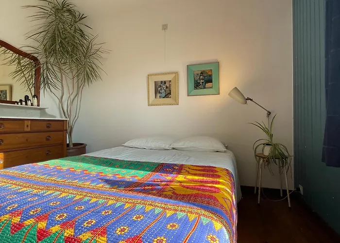 Jacaranda Де-Хаан