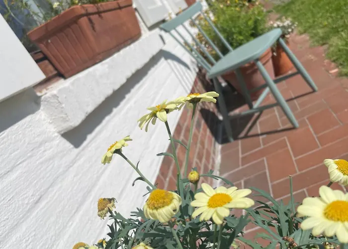 Дом отдыха Jacaranda *