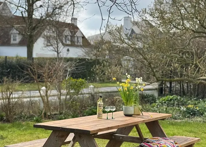 Jacaranda Де-Хаан