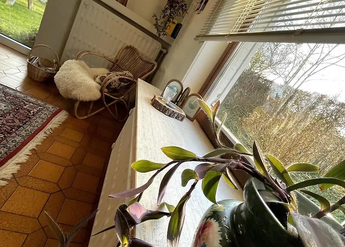 Дом отдыха Jacaranda Де-Хаан